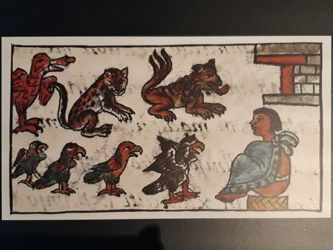 Herrscher der Azteken (2).jpg