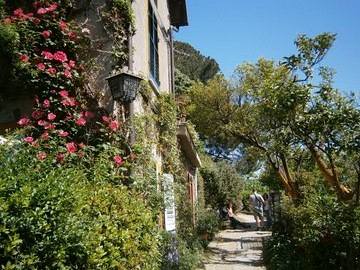 cid:E79FC0FF18A24E09B9EDA2C8C6B5AD66@Acer