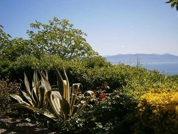 cid:BC893455C7F04760AB6183C101A617E1@Acer