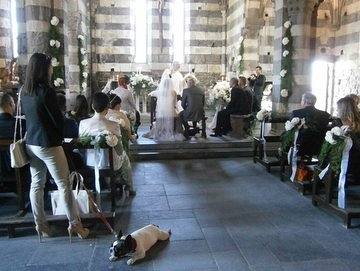 cid:CB74EC964E464A8F90497A5573B6C98E@Acer