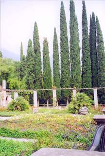 cid:187C9C29541441C4A3B988B1A5182DCD@Acer