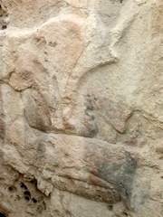 cid:3DE81CBABD6C4AE0A6B383067698E4BF@Acer