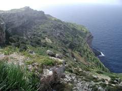 cid:7629D74F6D1B47759161F84AF7B60FBE@Acer