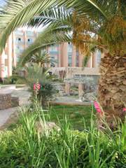 cid:3763D980D5F74911855E2BF625D76CF0@Acer