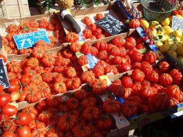 cid:22144619B8EF4E2AA8673AD9C7A5D445@acer