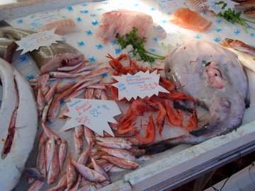 cid:4DE4AA17DC434C48AE8A97373C1C7C06@acer