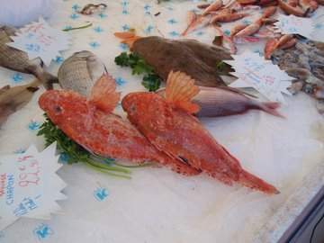 cid:C4774D5C954A4318BC13AEB381C8D478@acer