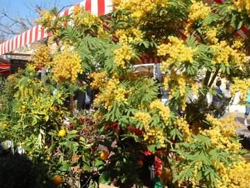 cid:D4B8DFB3F9394026A4DDD0B99B013FBB@acer