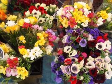 cid:FE472D44E0644B0A9817258E3CE9313A@acer