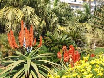 cid:FEA7EBE18CC94269B023525A1713F125@acer