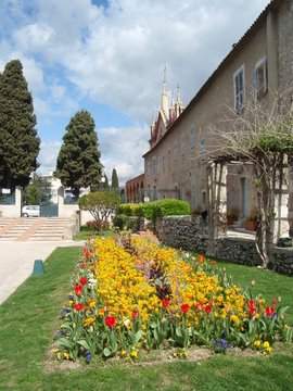 cid:6D751AB9950141AFB365476F9B6B8061@acer