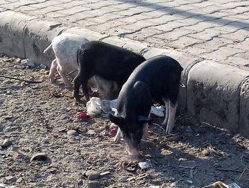 20171208_090937 (2).jpg