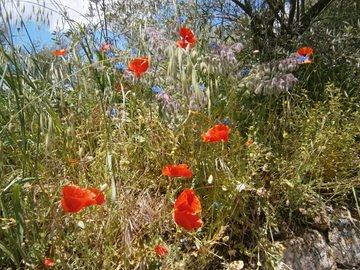 cid:73A24F829AEA47BB8E1FEBAC32156D5C@Acer