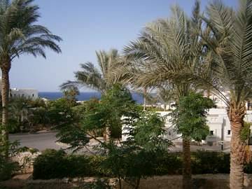 cid:AF563027818743579AAB718CAB7F7E6C@acer