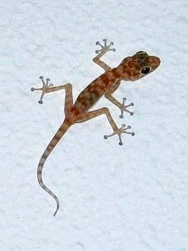 cid:6E3B1177371D498894EE5F2F4611F250@acer