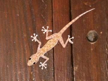 cid:2D7506020C344C1AAD3EB33BA603E7CF@acer