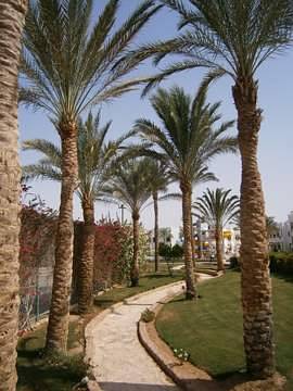 cid:C780F4D9168E4404964C0AED23406440@acer