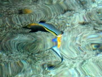 cid:27125D25BFD44A0093D9432CFBDCDF70@acer