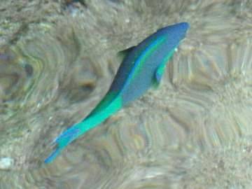 cid:78A9CA42947E498C8B4A25B9F6578C6C@acer