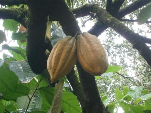 cid:0CF1CA467C7D4C08B676CA57DCC98123@Acer