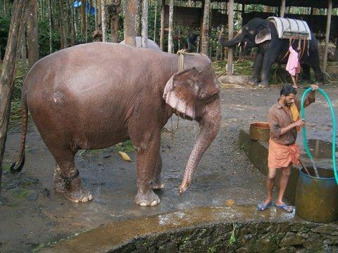 cid:5D6CCC0ACE44424C81844BFA8CA857D7@Acer